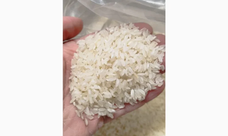 Продам рис среднозерный - фото № 2