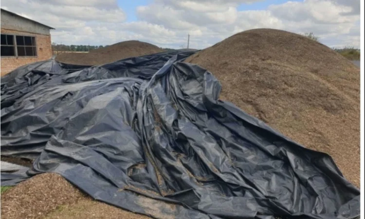 Купляємо по всій Україні самовивозом мертві відходи соняшника - фото № 2