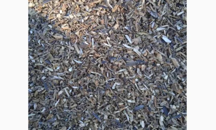 Купляємо по всій Україні самовивозом мертві відходи соняшника - фото № 3