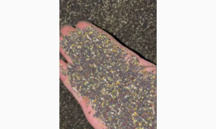 Купую ріпак, сою, кукурузу та відходи ріпака - фото № 1