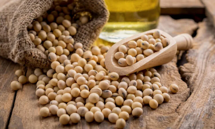 Дорого здійснюємо закупівлю Ріпаку Сої Соняшнику - фото № 2