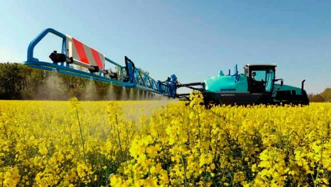 Закуповуємо Ріпак Сою за конкурентними цінами - фото № 1