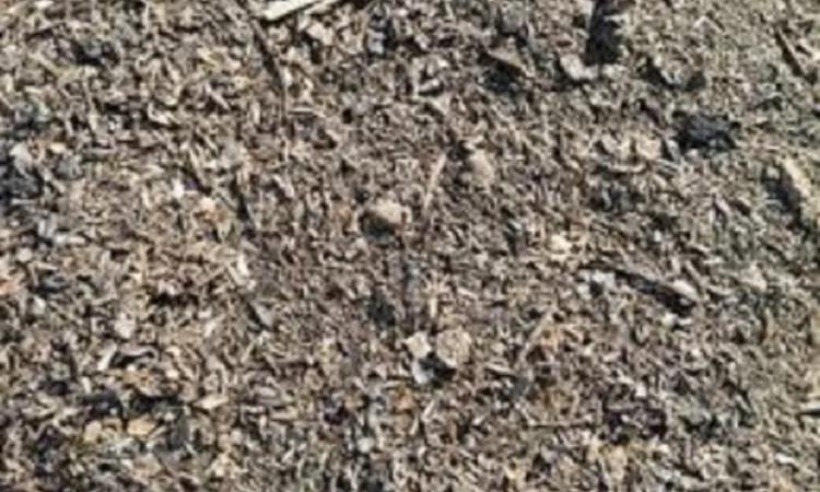 Закупаем деловой сор и отходы зерновых - фото № 1