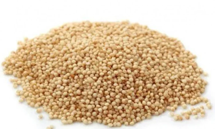 Льон - фото № 4