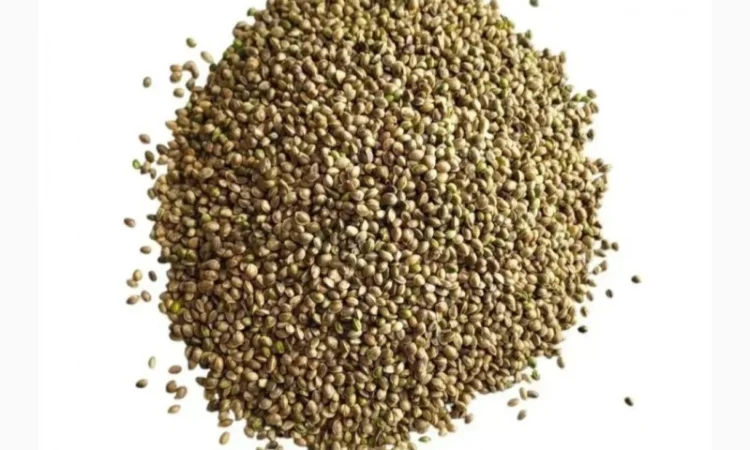 Льон - фото № 5