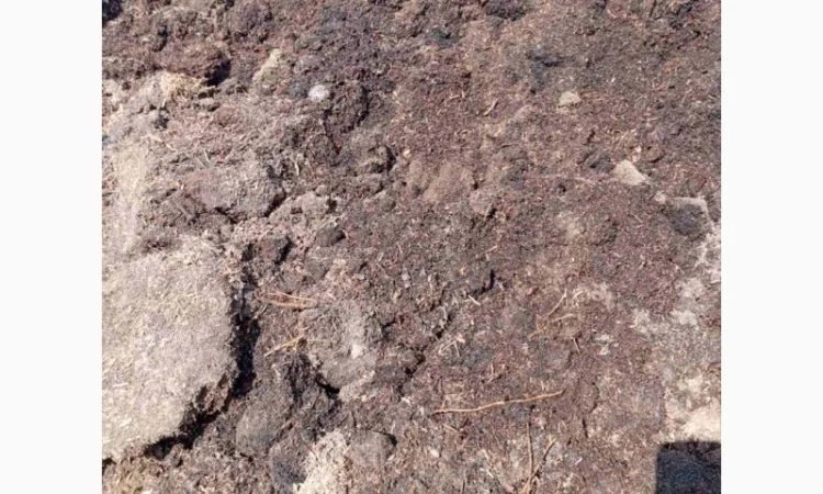 Куплю відходи соняшника - фото № 3