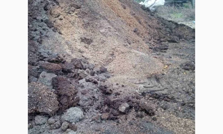 Куплю відходи соняшника - фото № 4