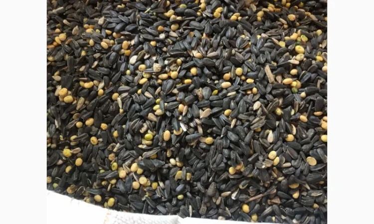 Купляємо відходи соняшника - фото № 1