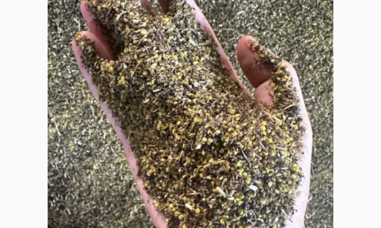 Купляємо відходи соняшника - фото № 4