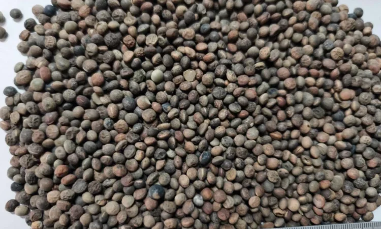 Реалізуємо вику яру - фото № 1