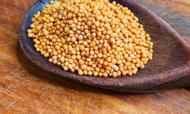 Куплю білу гірчицю. Свої машини - фото № 1