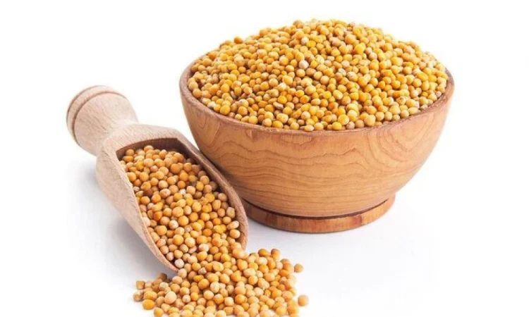 Купую білу гірчицю. Самовивіз із господарства - фото № 1