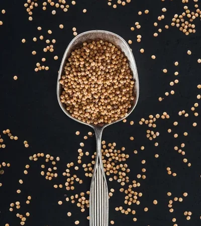 Закуповуємо гірчицю білу - фото № 1