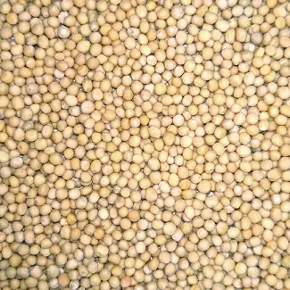 Купую гірчицю - фото № 1