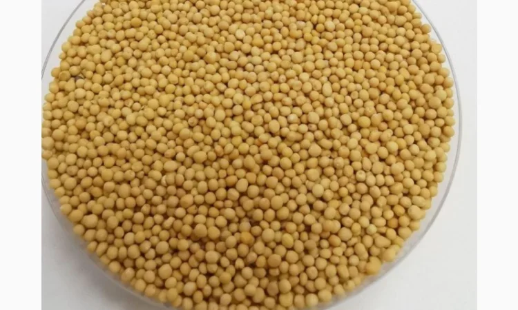 Закуповуємо гірчицю - фото № 1