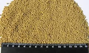 Купуємо гірчицю ДОРОГО - фото № 1