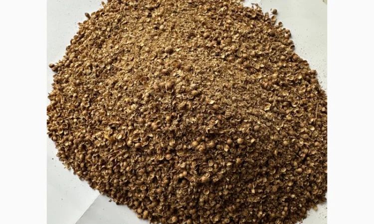 Продаются половинки кориандра (шрот) - фото № 1