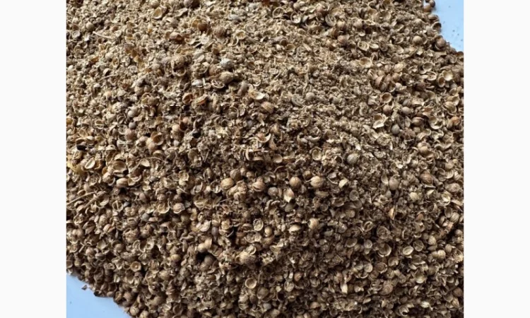 Продаются половинки кориандра (шрот) - фото № 2