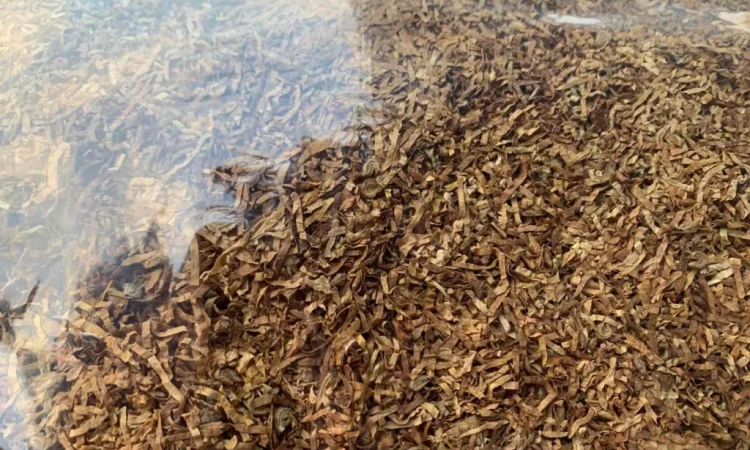 Тютюн люкс якості в Ивано-Франковске - фото № 5