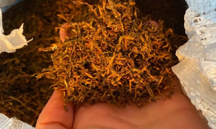 Действительно крепкий табак Дюбек Кентуки Крепкий Табак - фото № 3