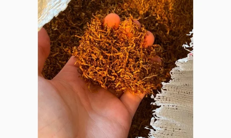 Мощный тютюн Дюбек Кентукі - крепкий табак - фото № 3