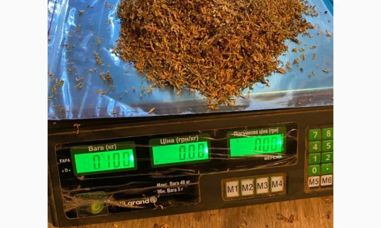 Ферментированный табак Вирджиния и Берли - премиум качество - фото № 4