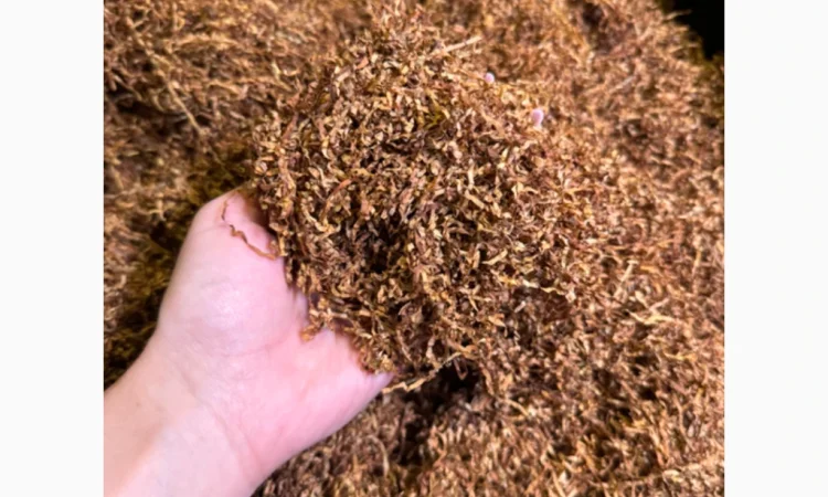 Табак высокого качества - Кемел - фото № 1