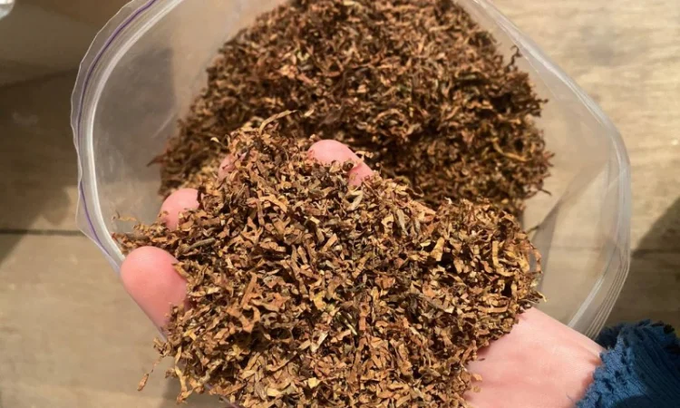 Темный табак Burley – насыщенный вкус и высокая крепость - фото № 2