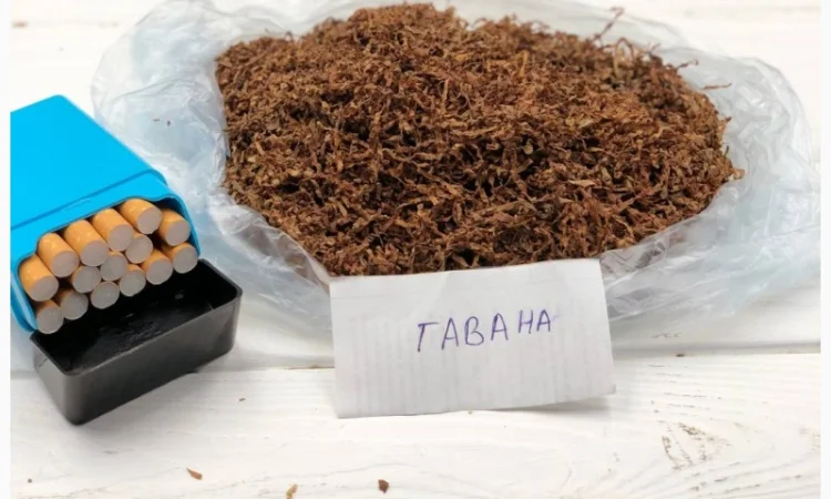 Качественный табак: Гавана, Давидофф, КапБлек, Дюбек, Вирджиния и другие - фото № 19