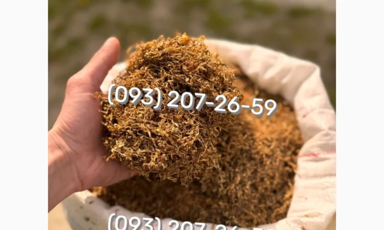 Парламент - фото № 8