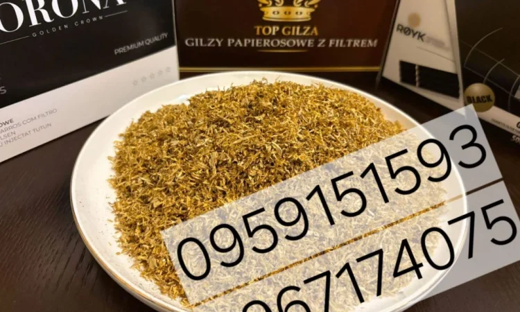 Табак Капитан Блек – импортное качество - фото № 4