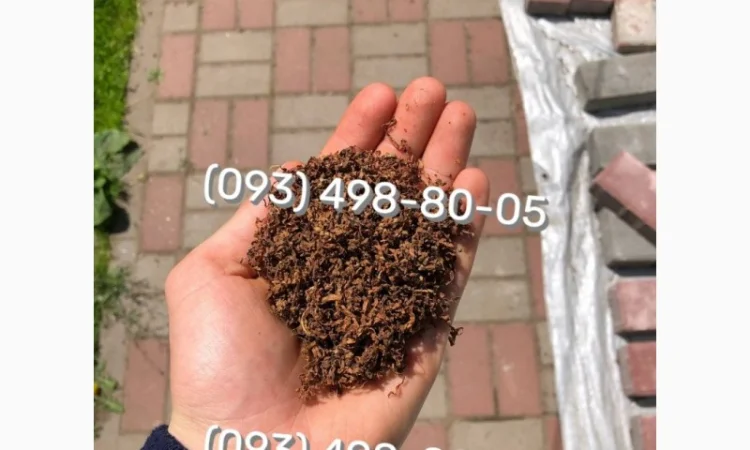 Табак высшего качества Голд - фото № 15