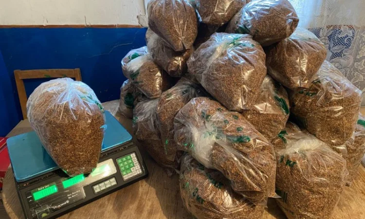 Тютюн Вірджинія середня – натуральна якість - фото № 1