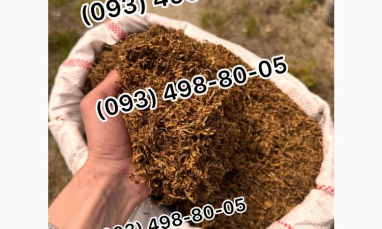 Табак Гавана, Берлі, Дюбек, Вірджинія, Кентуккі – опт и розница - фото № 10