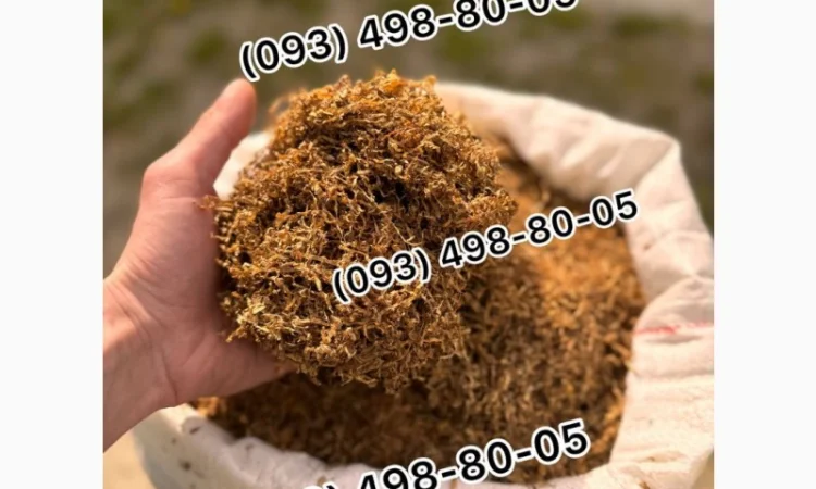 Табак Гавана, Берлі, Дюбек, Вірджинія, Кентуккі – опт и розница - фото № 11