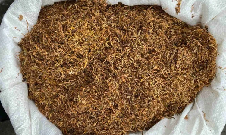 Герцоговина флор - табак та аксесуари на продажу - фото № 5