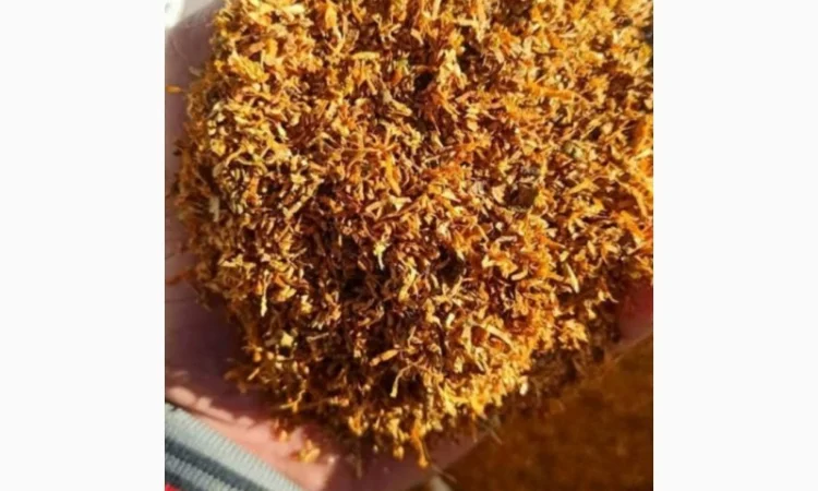 Табак Парламент – высококачественный и готовый к употреблению - фото № 2