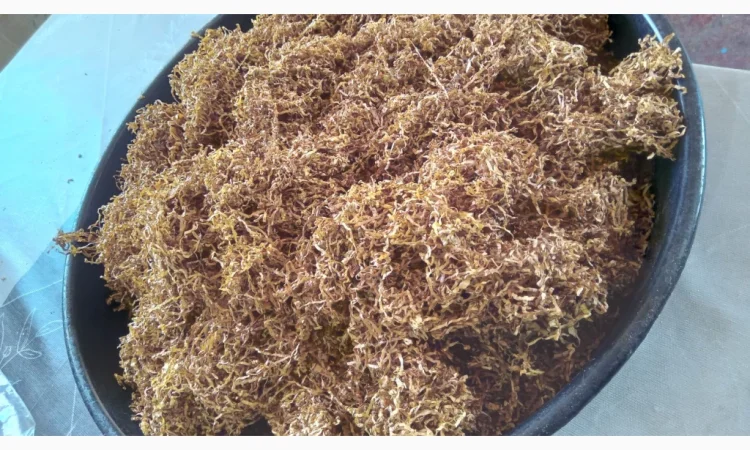 Великий вибір тютюну преміум якості - фото № 5