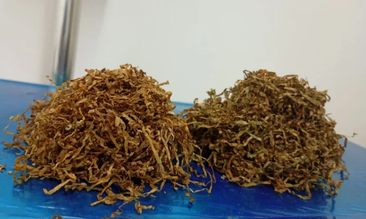 Премиум тютюн Чистый сухой - фото № 7