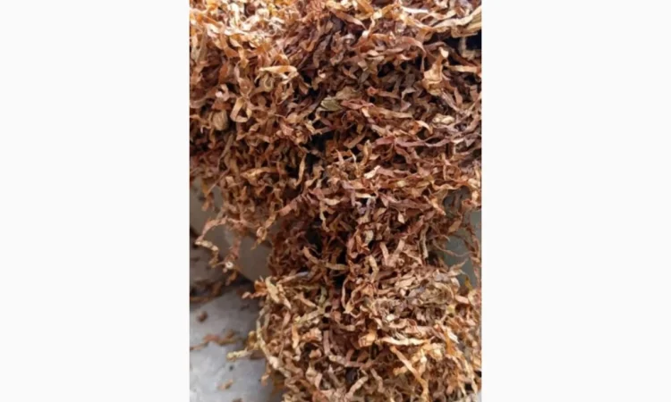 Продажа табака разных видов - фото № 2