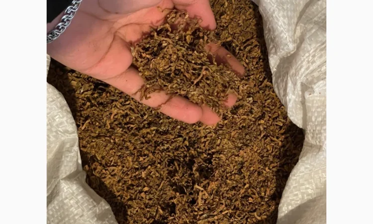 Продажа табака - фото № 1