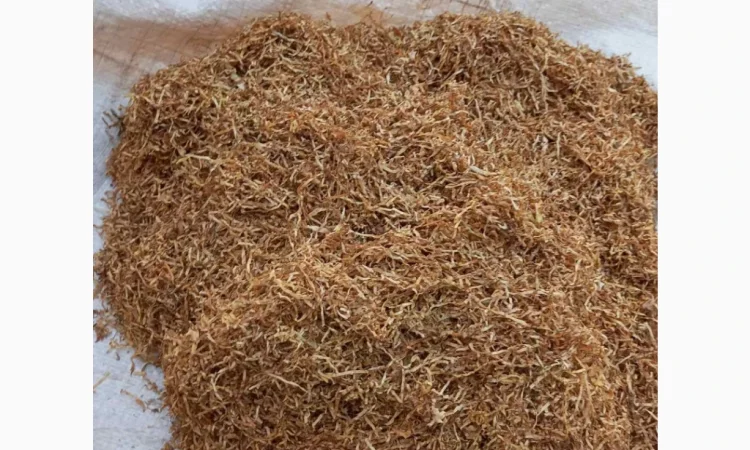 Натуральний табак Вірджинія у продажу - фото № 5