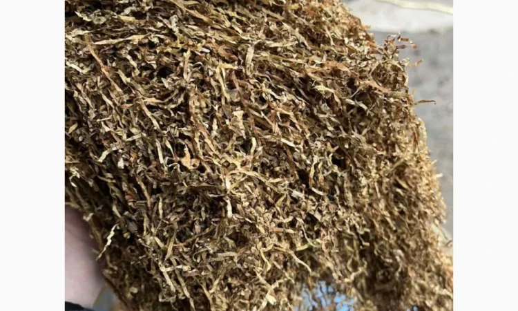 Чистый табак Міленіум - фото № 5