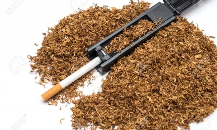 Любители - фото № 1