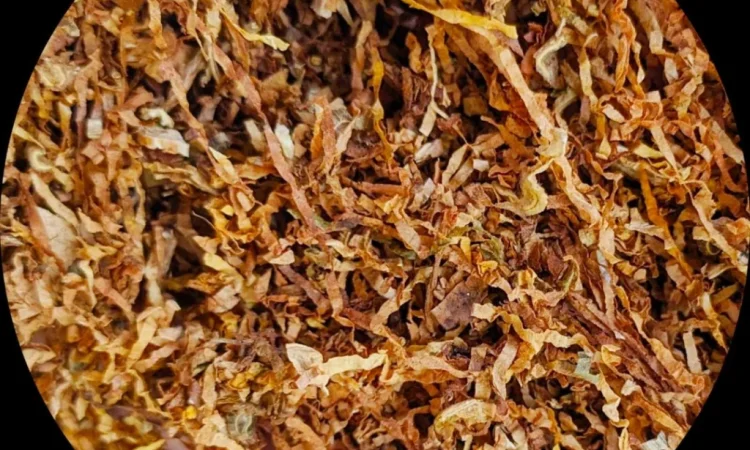 Ароматный табак для настоящих ценителей - фото № 1