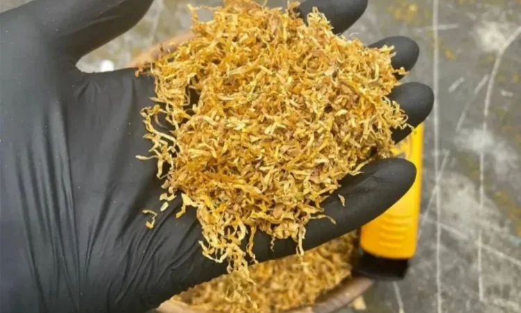 Всегда в продаже свежий табак - фото № 1