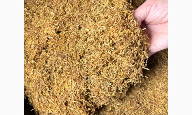 Тютюн Вірджинія – великий вибір на будь-який смак - фото № 1