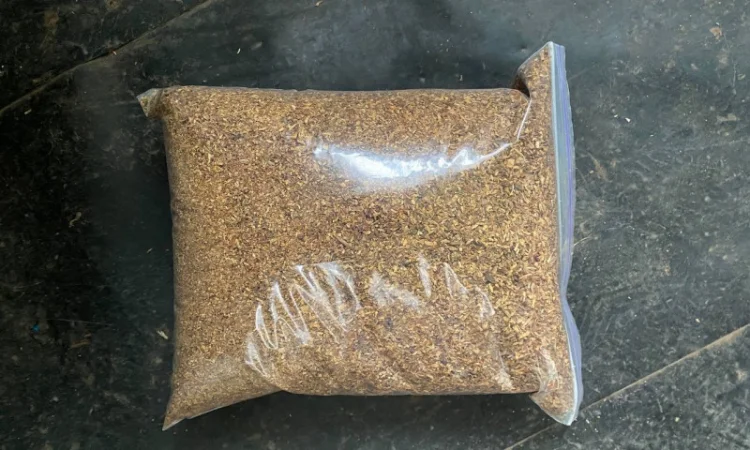 Премиальный табак Davidoff с утонченным вкусом - фото № 4