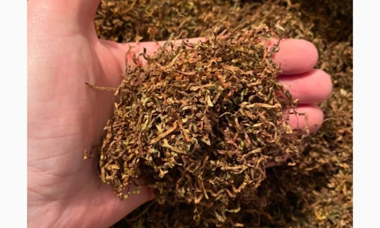 Крепкий копченый табак Dübek Кентукі для ценителей - фото № 1