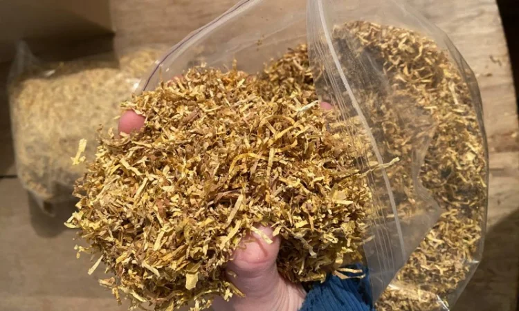 Тютюн Virginia Gold – мягкий сорт - фото № 2